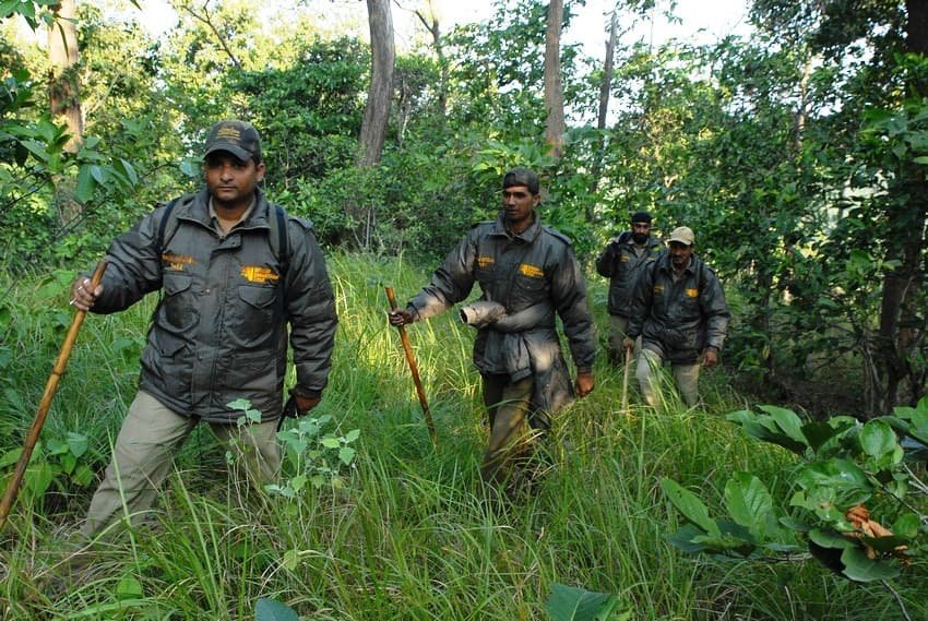 Forest Guard Recruitment : वन विभाग में निकली बंपर भर्ती, 10वीं 12वीं पास करें आवेदन